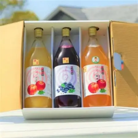 3種のジュース飲み比べセット　1,000ml×3本_飲料・ドリンク りんごジュース 果汁飲料 林檎ジュース アップルジュース リンゴジュース  飲料・ドリンク  果汁飲料 _【1402616】
