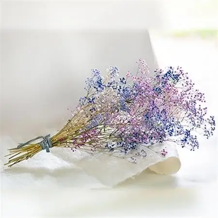 ドライフラワー　かすみ草のスワッグ【1125857】