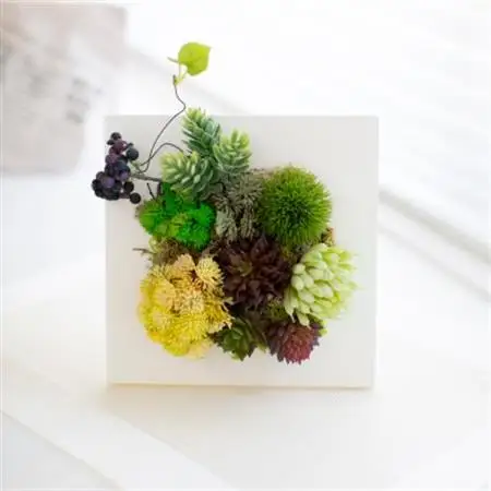 アーティフィシャルプランツ　多肉植物のフレームフェイクグリーン(卓上・壁掛両用)【1220983】