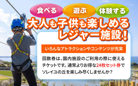 ソレイユの丘 回数券 400円分×24枚【株式会社日比谷花壇】 [AKBO002]