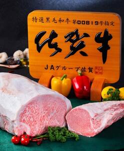佐賀牛 ヒレ ブロック 5kg 100-J797