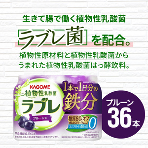 植物性乳酸菌ラブレ　1日分の鉄分36本[052S05]