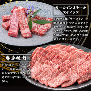 ＜定期便・全4回＞ お試し 黒毛和牛 定期便 国産 鹿児島県産  【カミチク】T9-v01