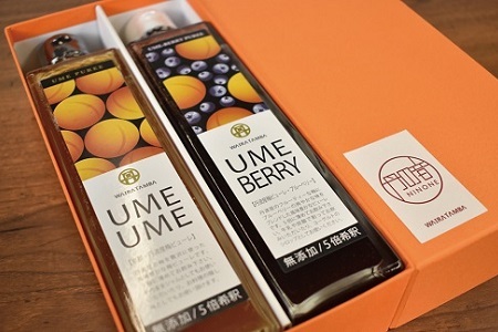 UMEUME（梅）・UMEBERRY（梅ベリー） 丹波・梅ピューレ 京都 丹波 完熟梅 無添加 5倍希釈 315ml [014WT001]