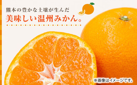 【先行予約】温州みかん約7kg　2S〜2Lサイズ　【くまふる】[ZBG050]