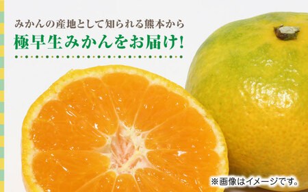 【先行予約】極早生みかん 約5kg　2S〜2Lサイズ　【くまふる】[ZBG057]