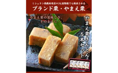 やまえ 栗きんとん 5本 やまえ堂 栗 和菓子