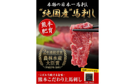 馬刺し 上赤身 ブロック 100g×15 馬刺し《7-14日以内に出荷予定(土日祝除く)》