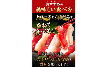 馬刺し 国産上ロース 計400g 馬刺し