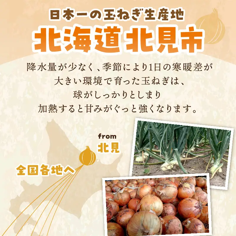 【予約：2026年10月から順次発送】日本一の生産地！北海道北見市の玉ねぎ 20kg！スープ2本付き♪ ( 玉ねぎ 玉葱 たまねぎ タマネギ オニオン スープ 即席 料理 )【164-0004-2026】