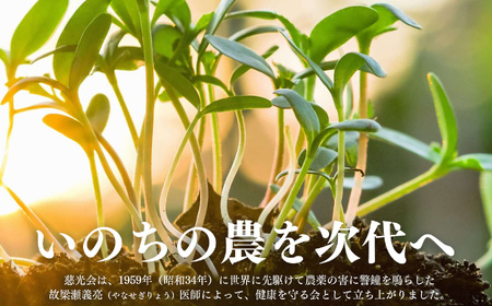 生命の農法（ 無化学農薬 ・ 無化学肥料栽培 ） じゃがいも （ 5kg ）｜慈光会自然食品販売所