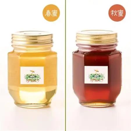 純粋坂戸はちみつ約550g(185g3個)_調味料 はちみつ  ハチミツ 蜂蜜_【1201208】
