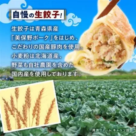 冷凍生餃子10パック(120個)　ぎょうざの満洲_冷凍 生餃子 ぎょうざの満洲_【配送不可地域：離島】【1238201】