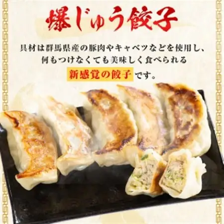 爆じゅう餃子　45個入り_惣菜・加工品 餃子  ぎょうざ ギョウザ_【配送不可地域：離島】【1209776】