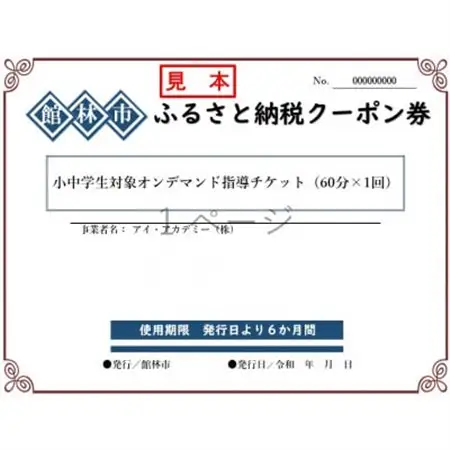 アイ・アカデミーの小中学生対象オンデマンド(苦手な所)指導チケット(60分×1回分)_旅行券・チケット  体験チケット _【1336103】