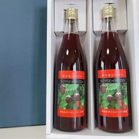 ボイセンベリードリンク 2本セット_飲料・ドリンク 果汁飲料  _【1338625】