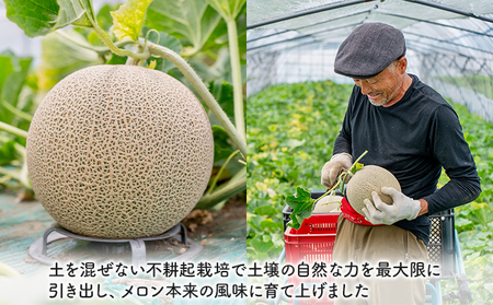 【2026年夏発送】北海道 富良野産 赤肉メロン 2玉 計3kg以上 ふらの メロン ギフト 果物 赤玉(榎本農園) メロン フルーツ 果物 新鮮 甘い 贈り物 ギフト 道産 ジューシー おやつ ふらの ブランド 夏 