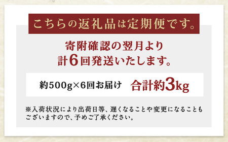 【6ヶ月定期便】長崎県産 本マグロ 赤身 500g 鮪 魚 刺身 【大村湾漁業協同組合】