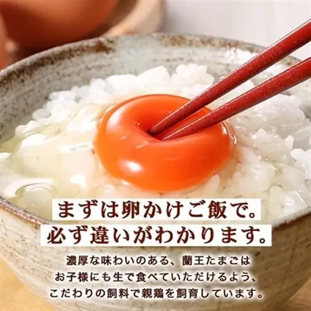 【毎月定期便】蘭王たまご 10個入り3パック ギフト箱でお届け全6回_卵 たまご 玉子 タマゴ 鶏卵 まとめ買い オムレツ 卵かけご飯 朝食 料理 人気 美味しい_【4001017】