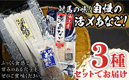 【全6回定期便】対馬 産 活〆 あなご セット [WAC019] 煮あなご 佃煮 アナゴ