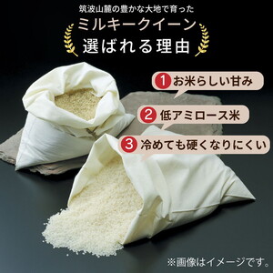 令和7年産 茨城県産 ミルキークイーン 精米・合計10kg（5kg×2袋）茨城県産のお米ミルキークイーンは、モチモチした食感が特徴の低アミロース米 ※離島への配送不可
