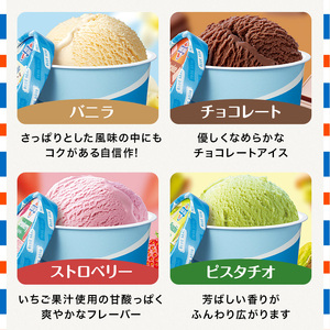 ブルーシール アイス　ギフト24（12種類） アイス　沖縄　人気