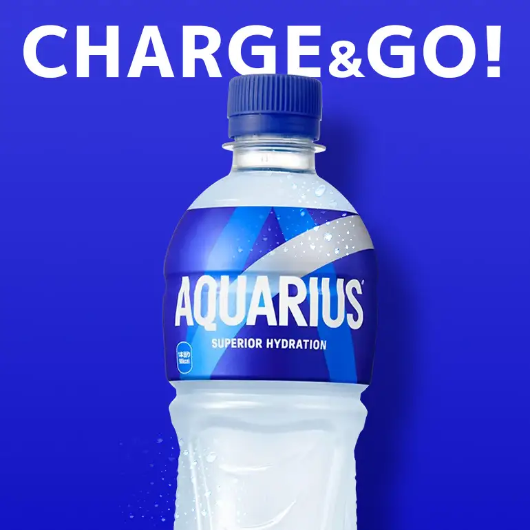 アクエリアス　500ml×24本｜アクエリアス AY12