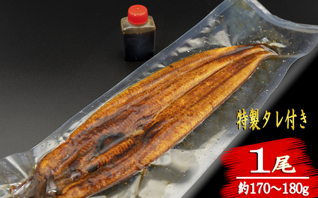 【定期便/計12回】海鮮【惣菜海鮮】BE005