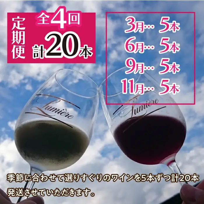 ルミエール ～ワイン定期便フルコース～ 063-005