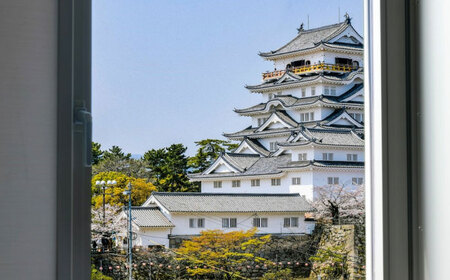 ベッセルイン福山駅北口 ペア宿泊券（スーペリアツインルーム） [BACZ001] 宿泊