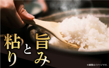 【令和7年度産】おぢかんうまか米 小値賀町産コシヒカリ 3kg 精白米 コシヒカリ [DAB010] 