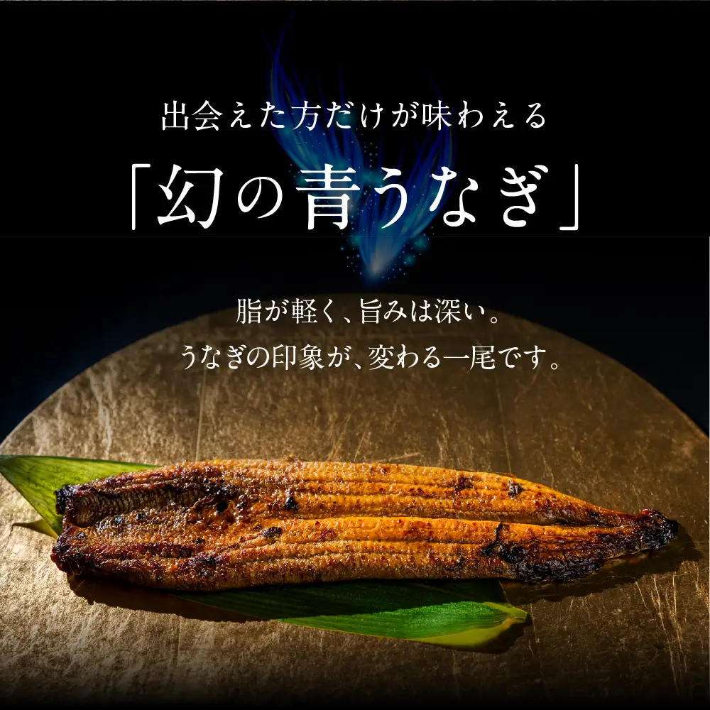 特上 幻の青うなぎ 2尾 うなぎ 丑の日 田原市