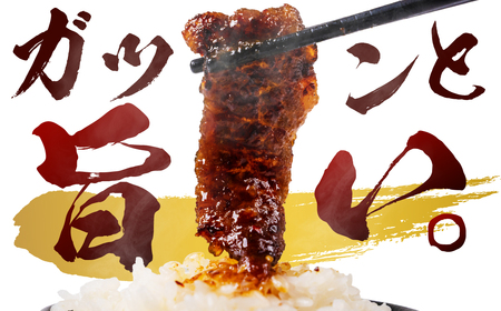 田原牛 味付 特選カルビ 500g (100g小分けパック) 牛肉 焼肉 牛肉