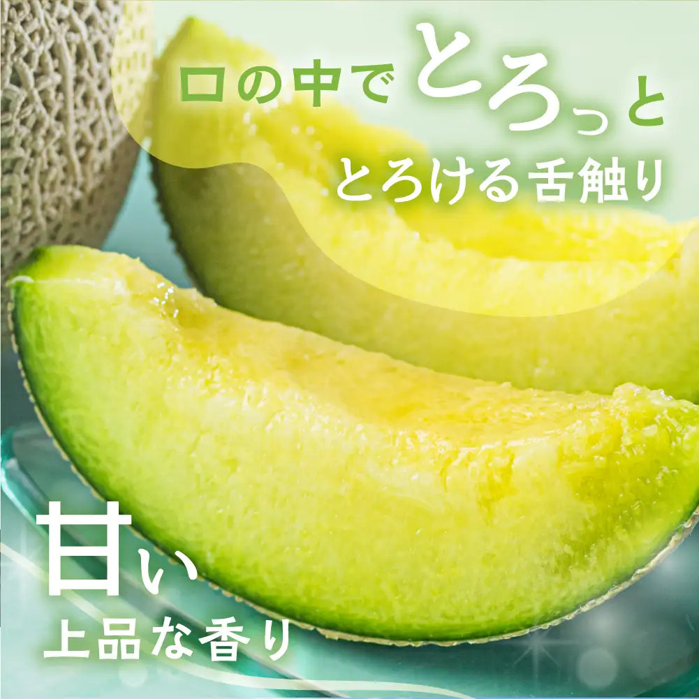 【先行予約-6月中旬～発送】マスクメロン 2玉 メロン マルカベジフル 