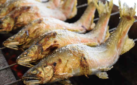 26-839．炭火でじっくり焼いた四万十川天然鮎の塩焼き４～６匹