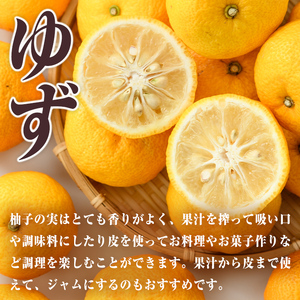＜先行予約受付中！2026年11月上旬以降順次発送予定＞柚子(約4kg)かんきつ 柑橘 期間限定 おもとの丘【111300701】【未来農林】