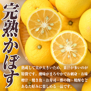 ＜先行予約受付中！2026年11月上旬以降順次発送予定＞完熟かぼす(約4kg)かんきつ 柑橘 期間限定 おもとの丘【111300401】【未来農林】