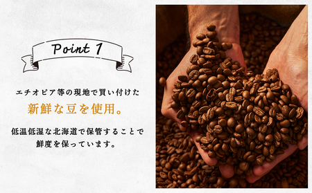【定期便3ヶ月】 ドリップバッグコーヒー イルガチェフェ 10袋 自家焙煎珈琲