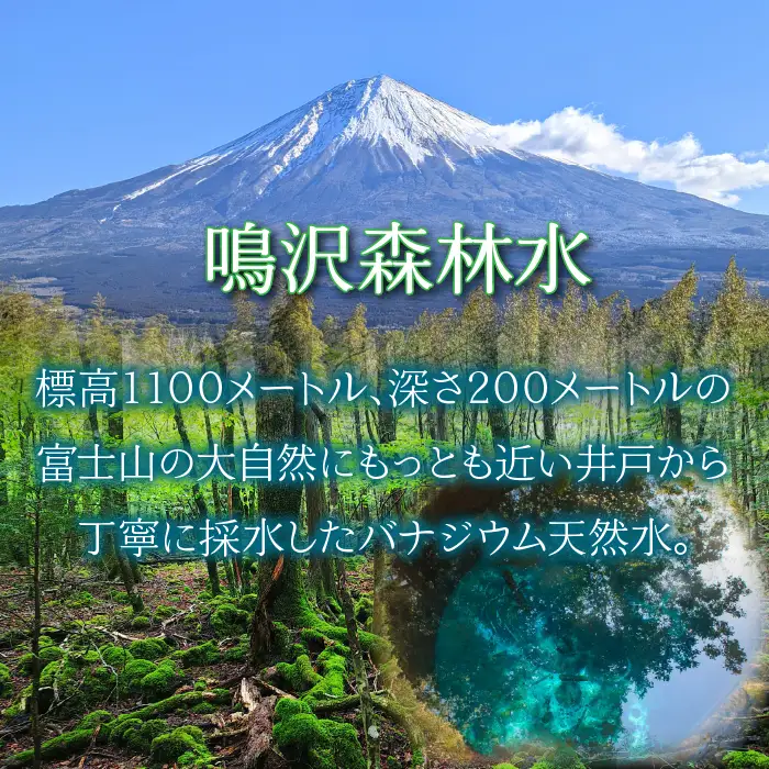 【富士山】鳴沢の天然水 ナチュラルミネラルウォーター 54L（富士鳴沢ウォーター専用）約3ヵ月分 NSO001