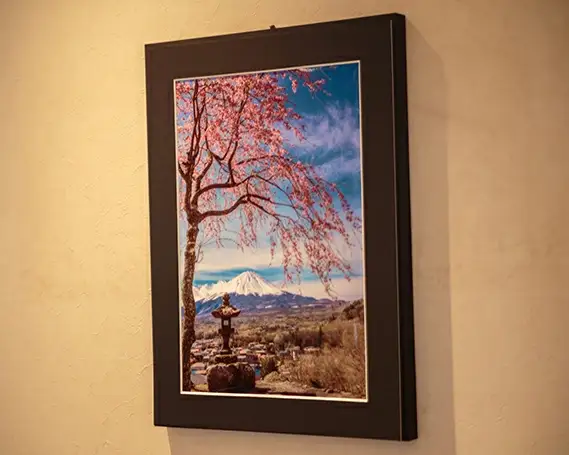 富士山フォトパネル（桜） NSF010