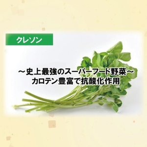 天然奥久慈 「クレソン粉末ドレッシング」 &  「紅菊芋&くるみ入り粉末ドレッシング」 5本 セット(BU002)