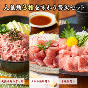 まぐろ食べ比べセット 計600g (200g 3種)：本鮪切落し200ｇ メバチ鮪切落し200ｇ 天然本鮪ねぎとろ200ｇ【静岡市清水】冷凍  マグロ  たたき ネギトロ丼 手巻き寿司 小分け 即席 海の幸 【配送不可：離島】◇