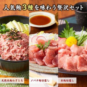 まぐろ食べ比べセット 計900g (300g 3種)：本鮪切落し300ｇ メバチ鮪切落し300ｇ 天然本鮪ねぎとろ300ｇ【静岡市清水】冷凍  マグロ  たたき ネギトロ丼 手巻き寿司 小分け 即席 海の幸 【配送不可：離島】◇