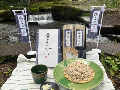 三分一そば乾麺 1袋100ｇ×4袋 [h255]