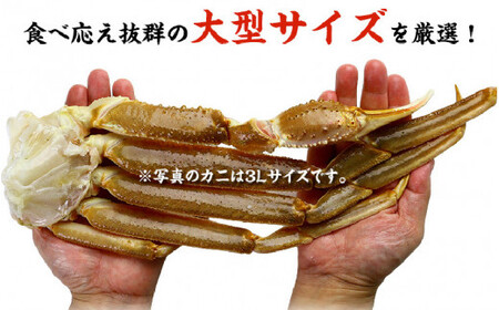 [024-o002] 【4か月連続お届け】カット生ずわい蟹 内容量1000g／総重量1300g×２