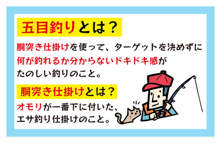 [042-e001] 五目釣り乗船券 泰丸 （1名様分）