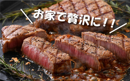 [002-b003] 若狭牛 ヒレステーキ 300g （150g × 2枚）