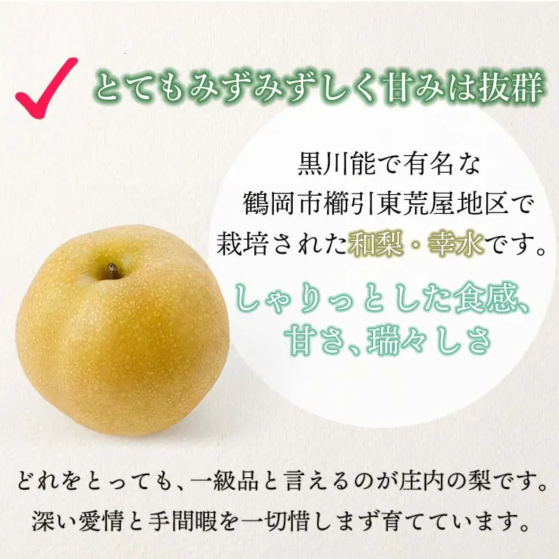 【令和8年産先行予約】 東荒屋産　幸水　(和梨) 　5kg　山形県鶴岡市　鶴岡中央青果　| 梨 ナシ 果物 くだもの フルーツ 旬 期間限定 5キロ 甘い みずみずしい おすすめ 人気 お取り寄せ 返礼品