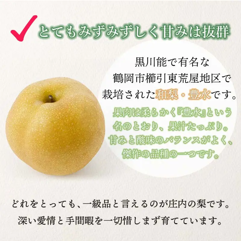 【令和8年産先行予約】 東荒屋産 　豊水　(和梨)　3kg 　山形県鶴岡市　鶴岡中央青果　| 梨 ナシ 果物 くだもの フルーツ 旬 期間限定 3キロ 甘い みずみずしい おすすめ 人気 お取り寄せ 返礼品