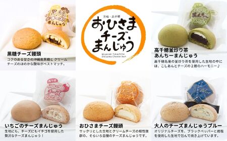 そらいろチーズまんじゅう5種10個入チーズ饅頭 まんじゅう お菓子 菓子 詰め合わせ 和菓子 洋菓子 デザート スイーツ 黒糖 いちご あんこ 手土産 おすそ分け 贈答 贈答用 贈り物 ギフト プレゼント 個装 個包装 個別包装 銘菓 おもてなし 宮崎県 高千穂町_Tk022-013